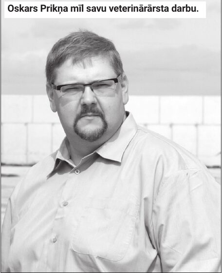 Veterinārārstu Oskara Prikņas un Andreja Elksniņa ikdiena