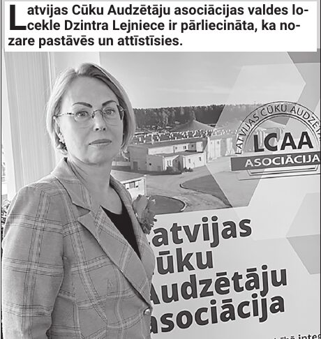 Cūkkopības nozare Latvijā – maza, bet pašpietiekama