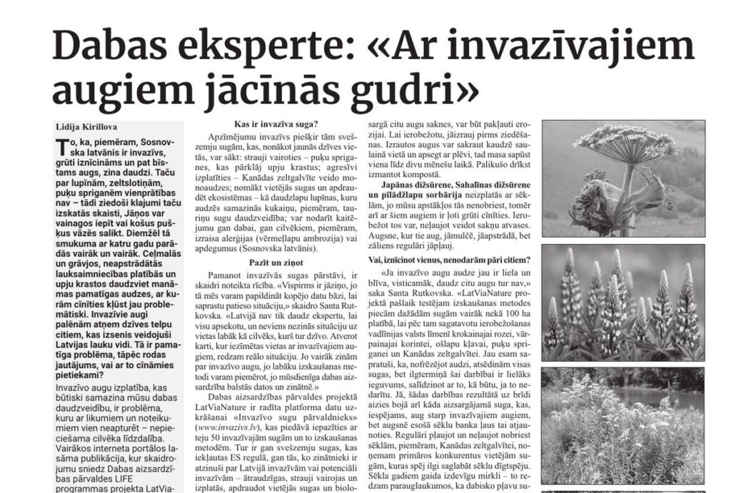 Dabas eksperte: «Ar invazīvajiem augiem jācīnās gudri»