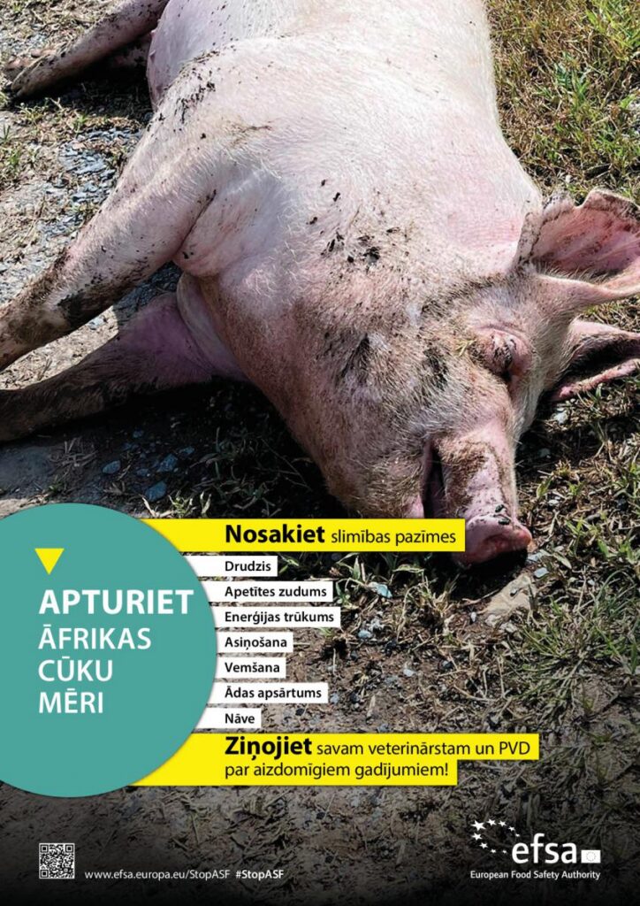 Latgalē uzliesmojis Āfrikas cūku mēris