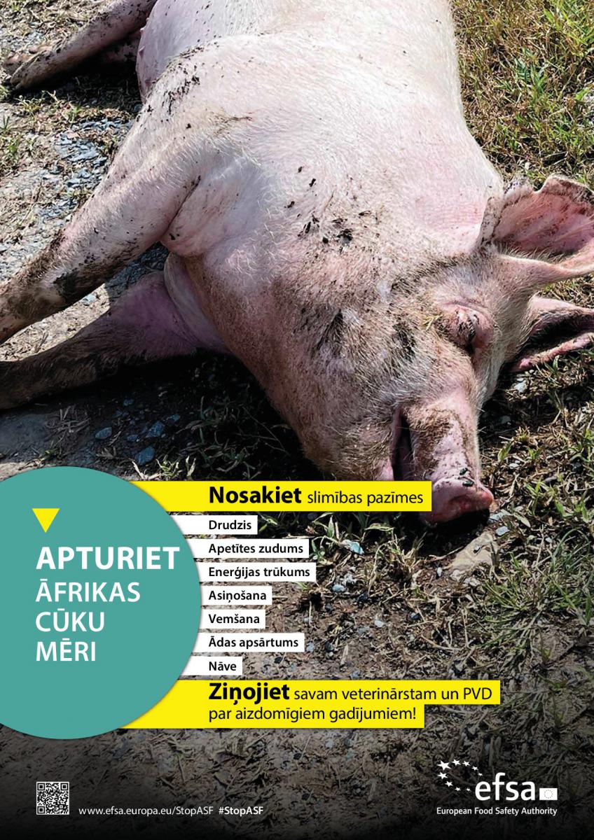 13.cuku_meris_Plakats2_0.jpg