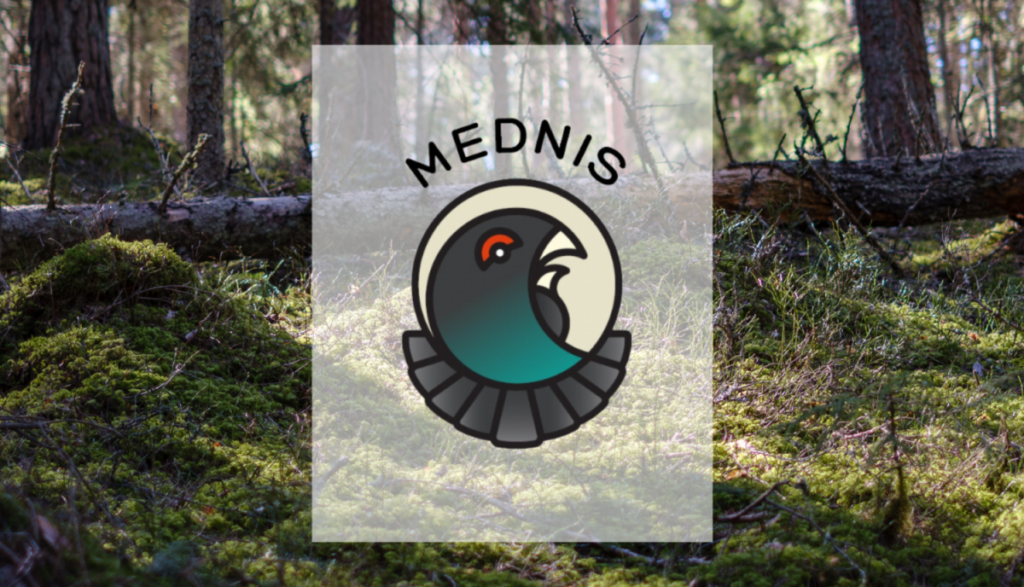 Par savvaļas dzīvnieku postījumiem lauksaimniecībā un mežsaimniecībā jāziņo lietotnē “Mednis”