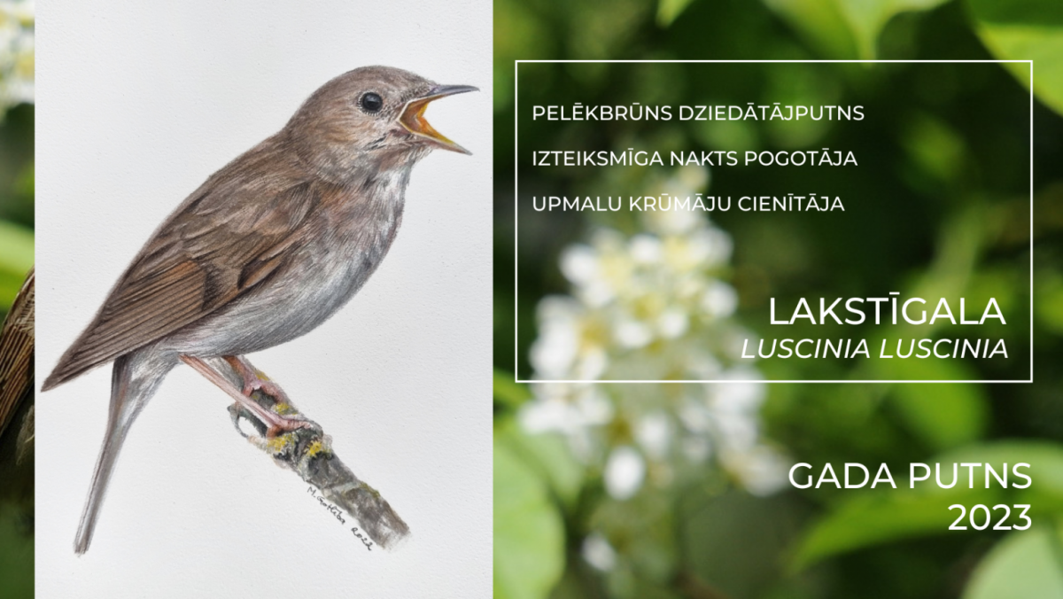 13.lppLakstigala_GadaPutns2023_LOB.png