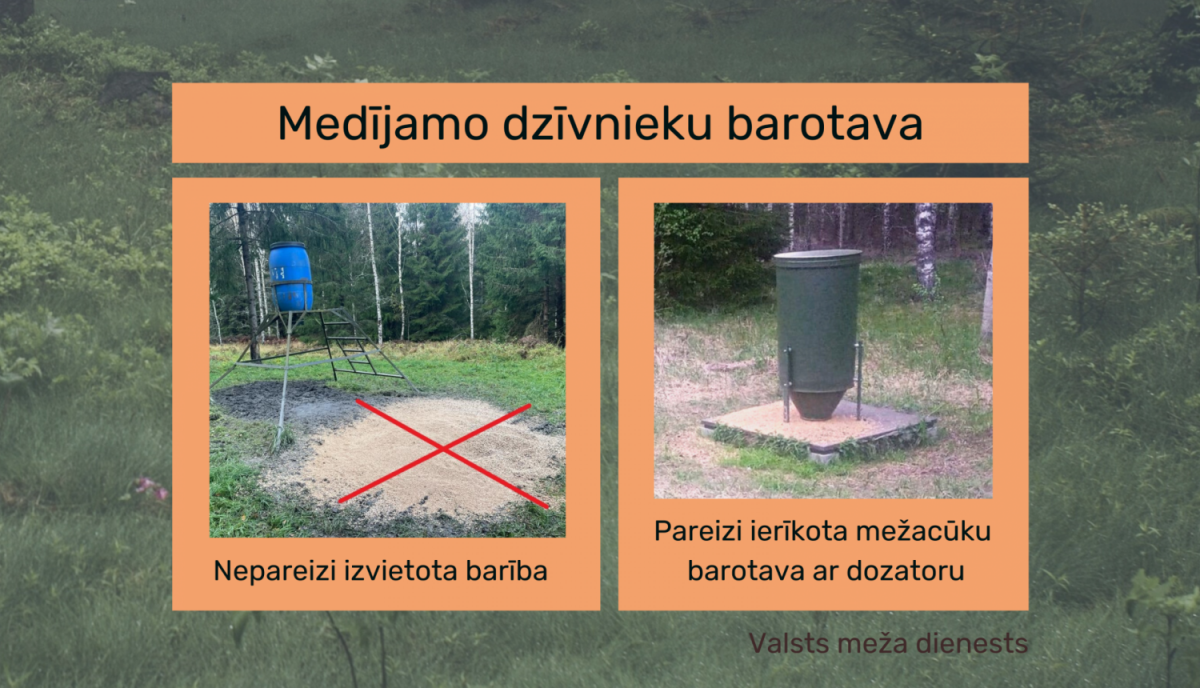 13.lpp_.medijamo_dzivnieku_barotava_vmd.png