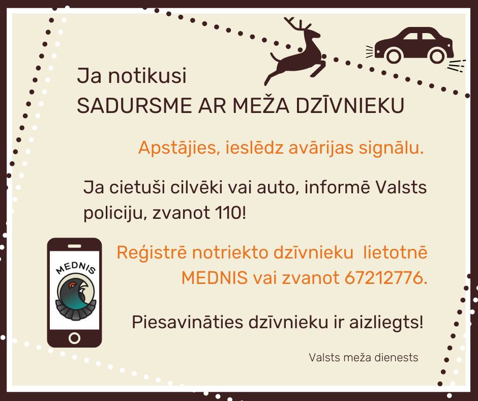 Par sadursmi ar meža dzīvniekiem jāziņo