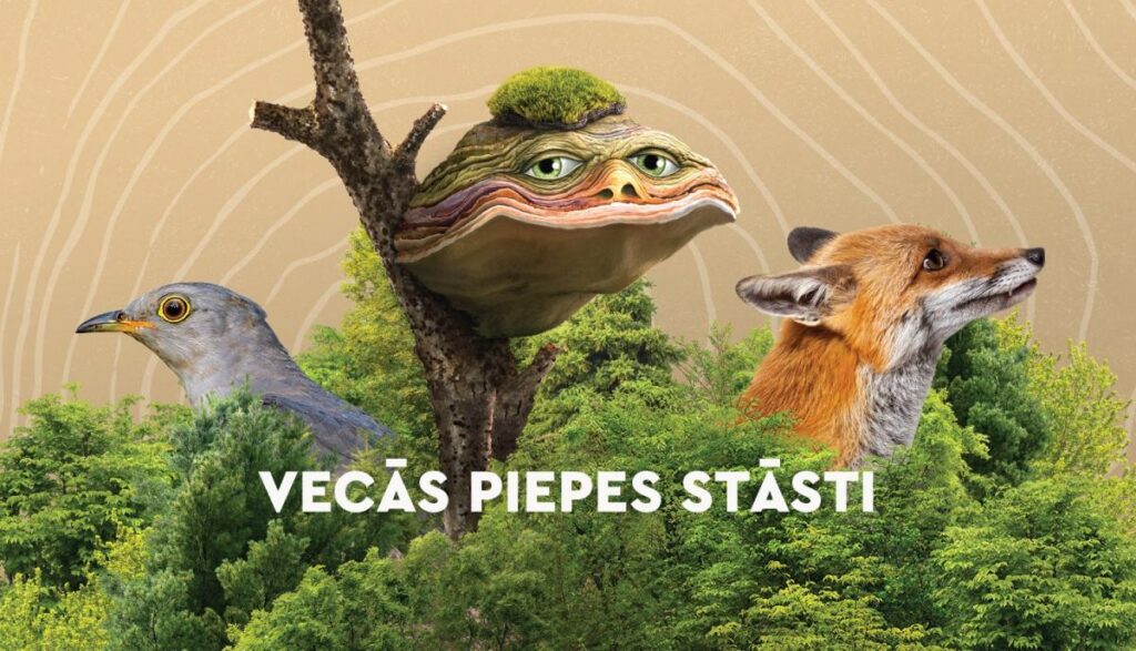 Īsfilmas vēsta par bioloģiski vērtīgu mežu