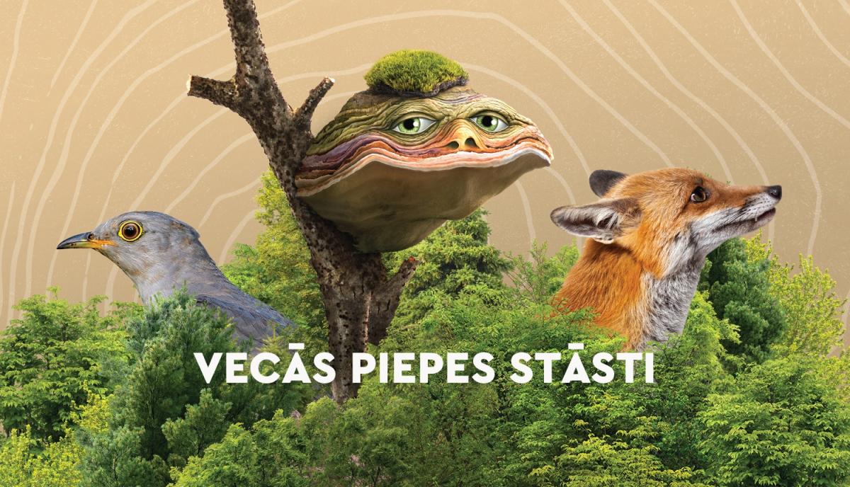 3.foto_12.jpg