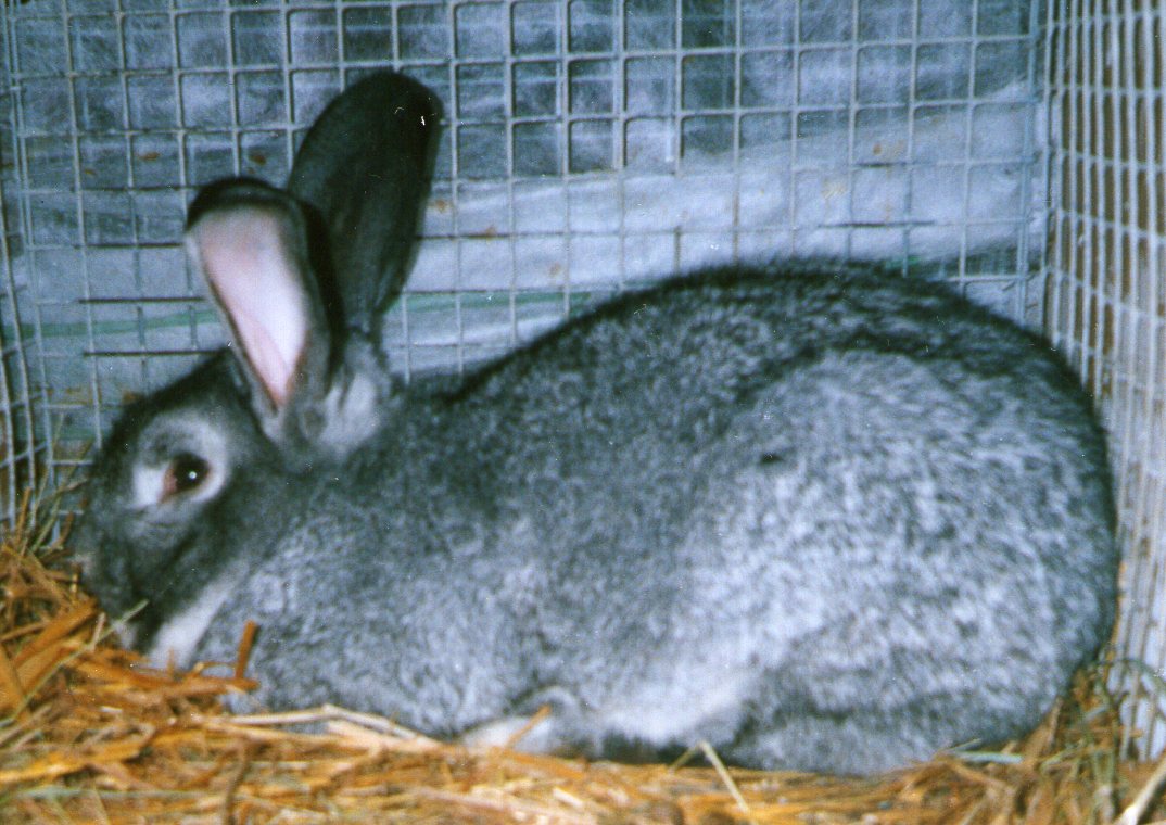 3.foto_13.jpg