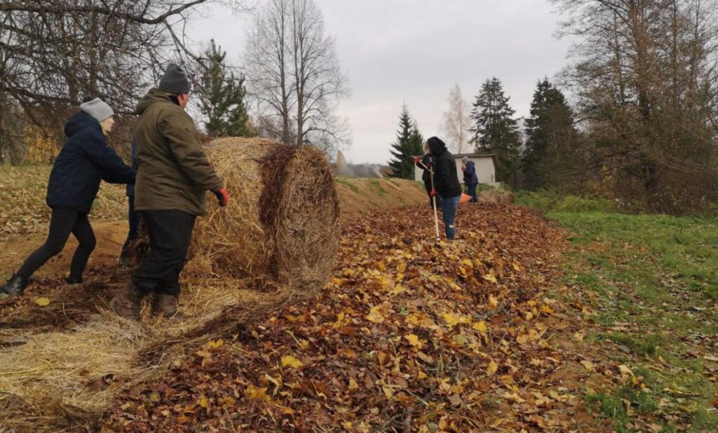 Sila ezera krastā izveidota permakultūras dobe no niedrēm