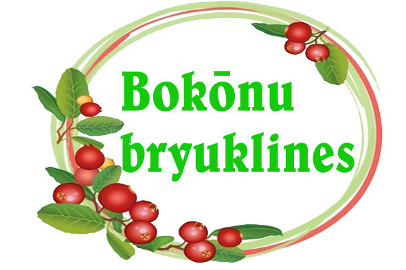 “Bokōnu bryuklines” nosvin 20. jubileju