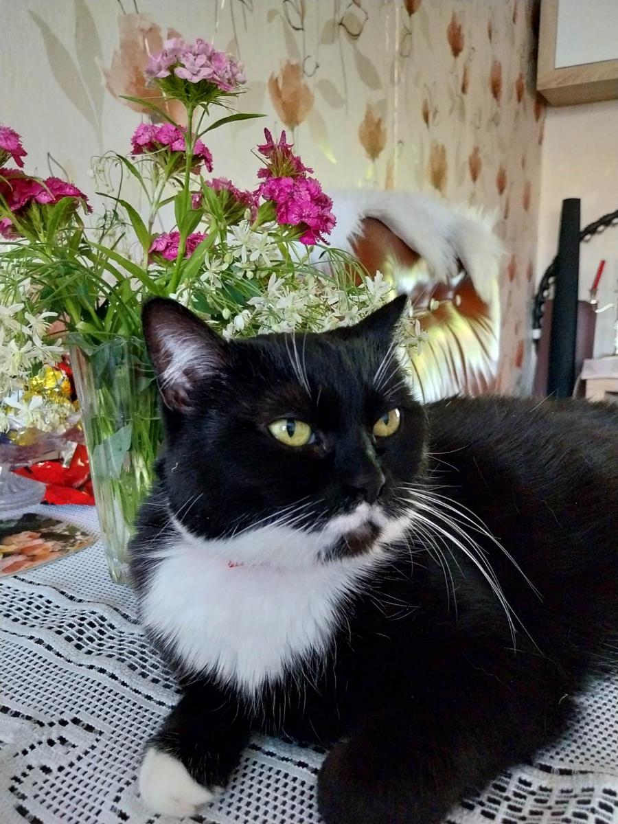 Kora_Lilita_Strode_06_20232028229.jpg