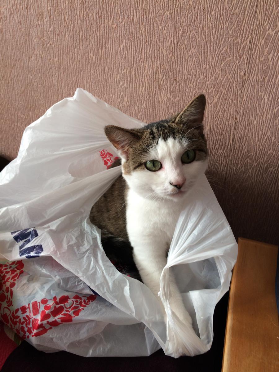 Milula_CV_Minka_03_20222028329_0.jpg