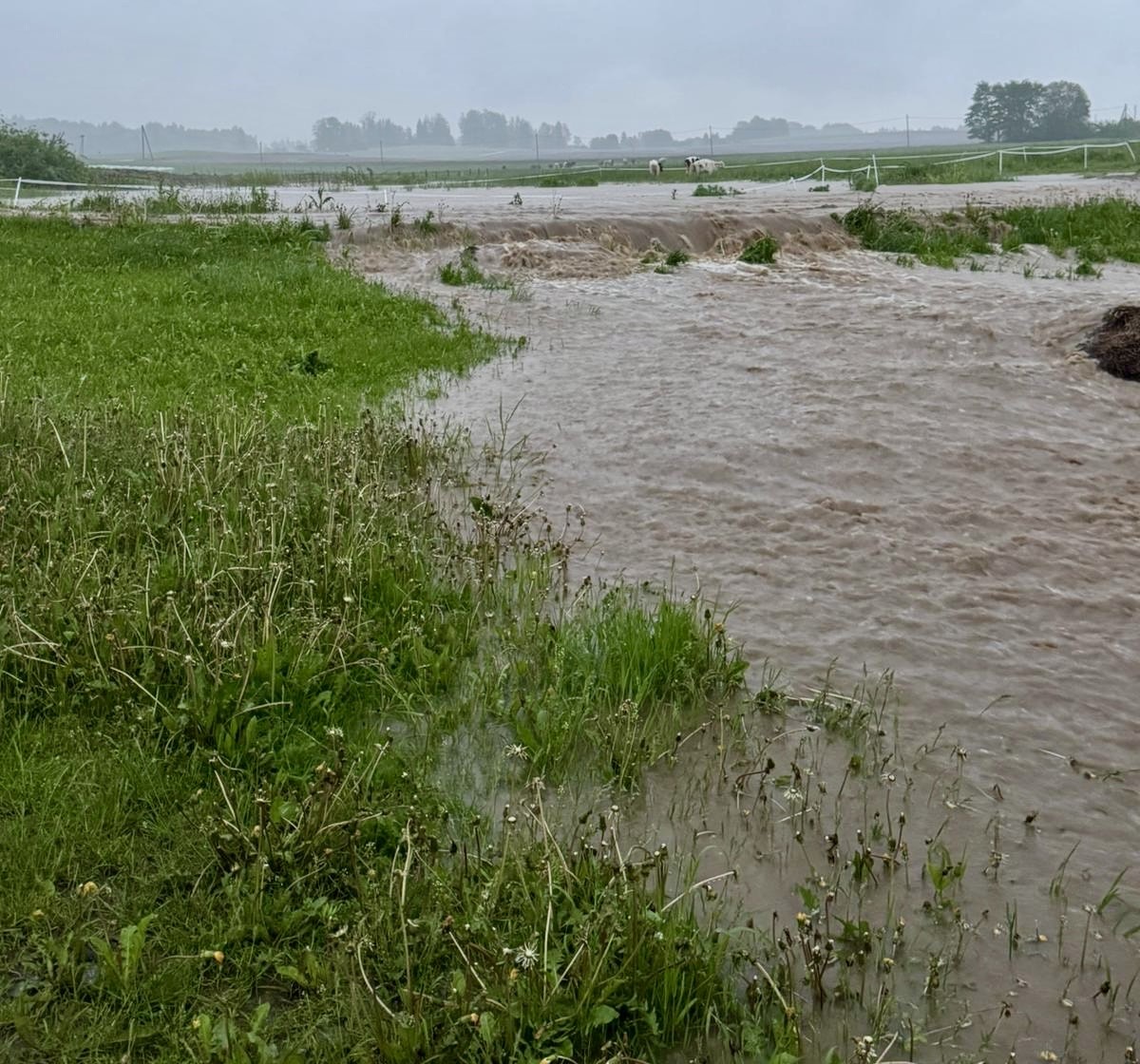 Pludi20Latgale.jpeg