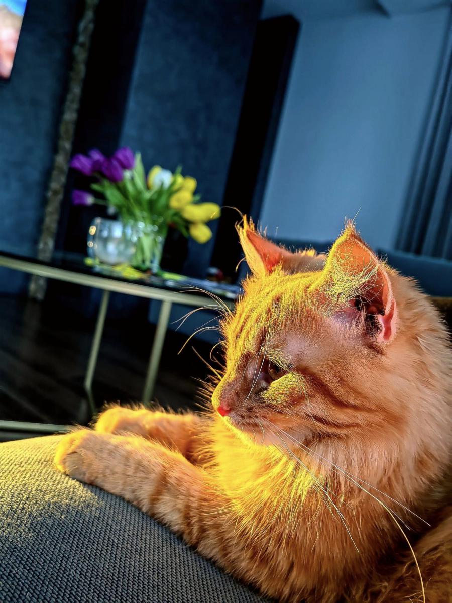 Simba04_20232028329.jpg