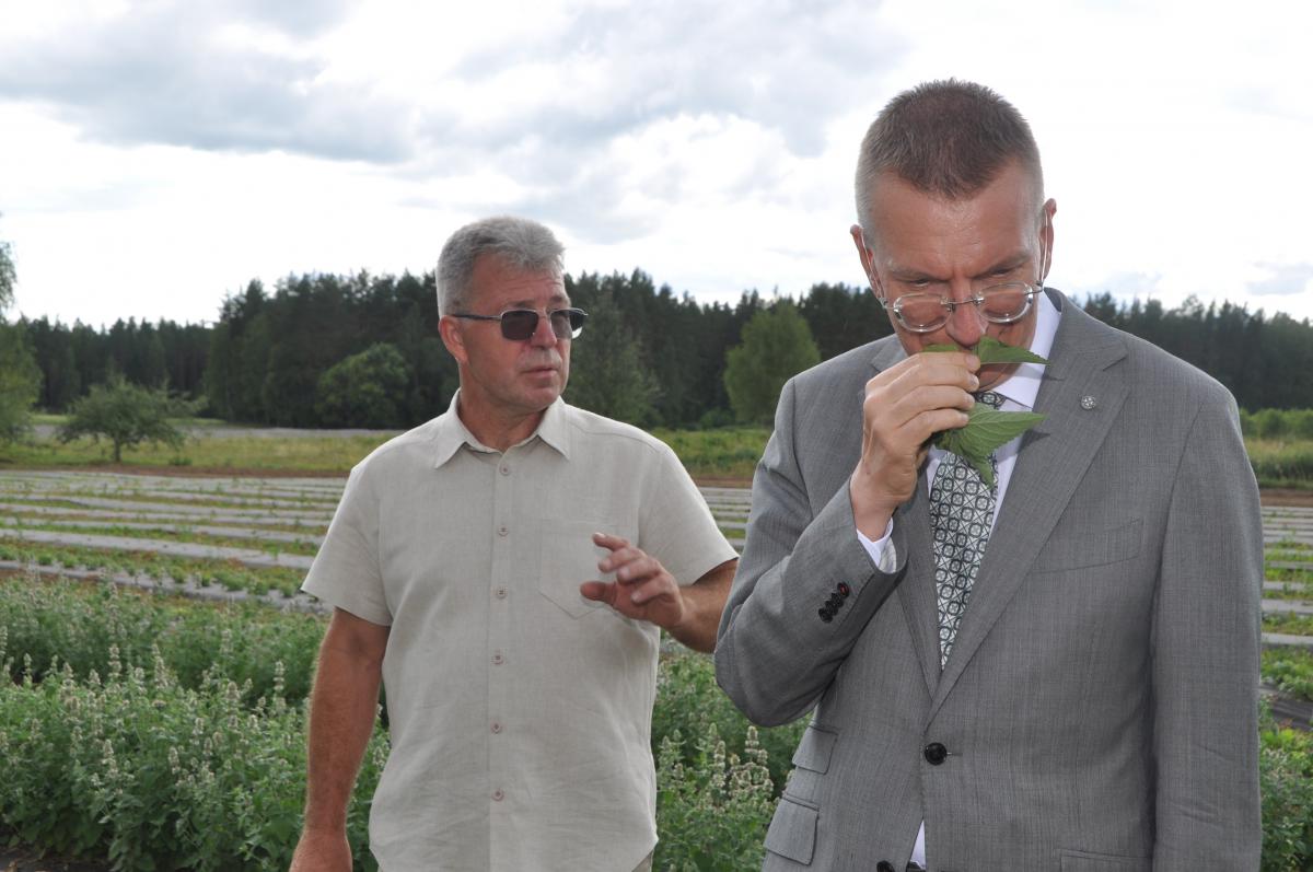 ValstsPrezidentsRinkevicsKraslavasNovada21_07_20232028829.jpg