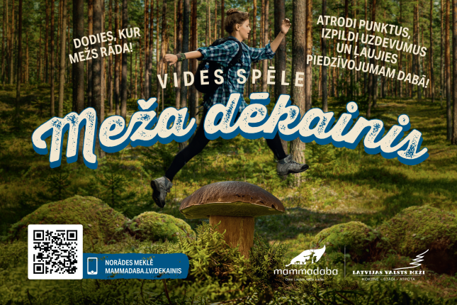 LVM aicina piedalīties vides spēlē “Latvijas Meža dēkainis”