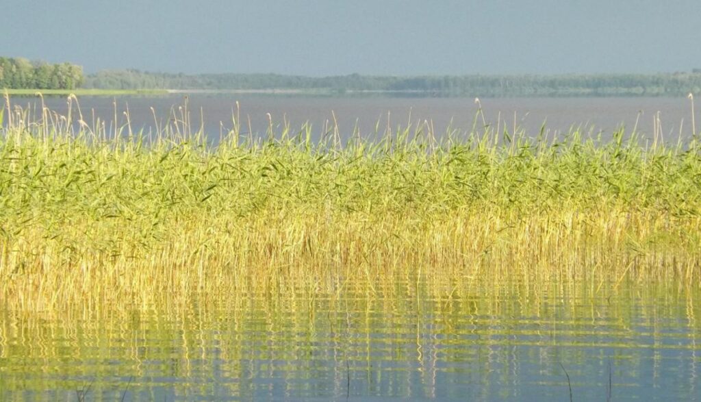 Augšdaugavas novada ezeros no nākamā gada samazina rūpnieciskās zvejas limitus