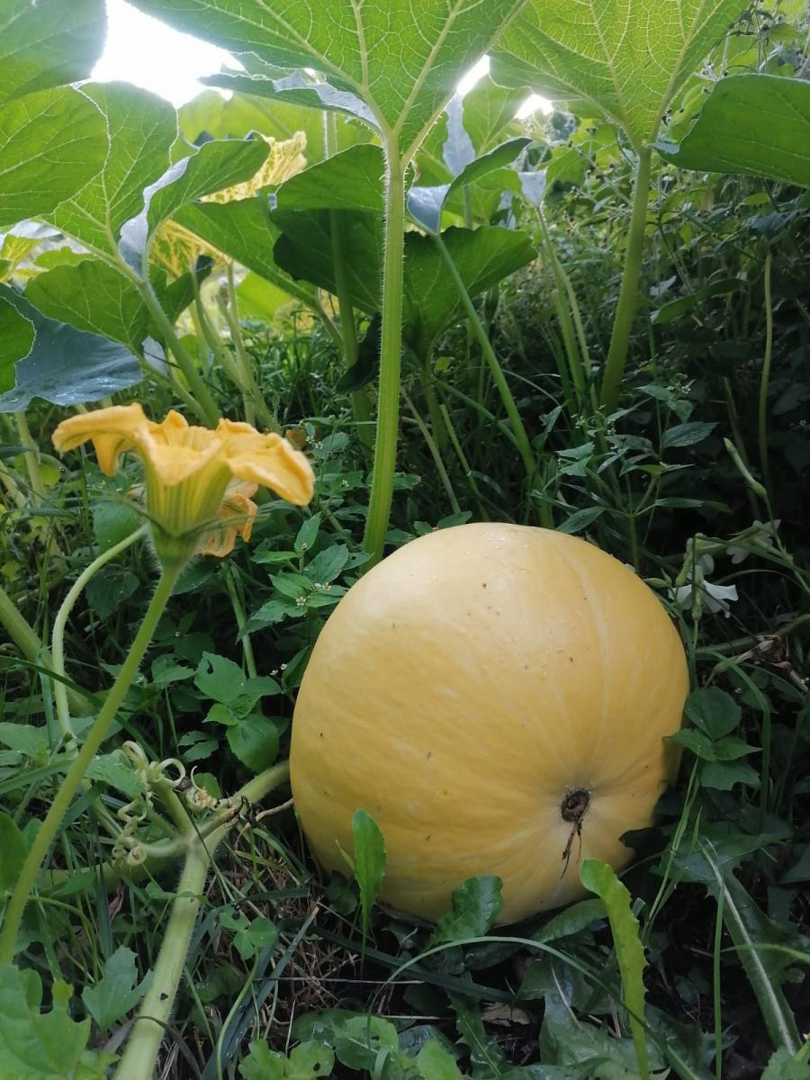 image002.jpg