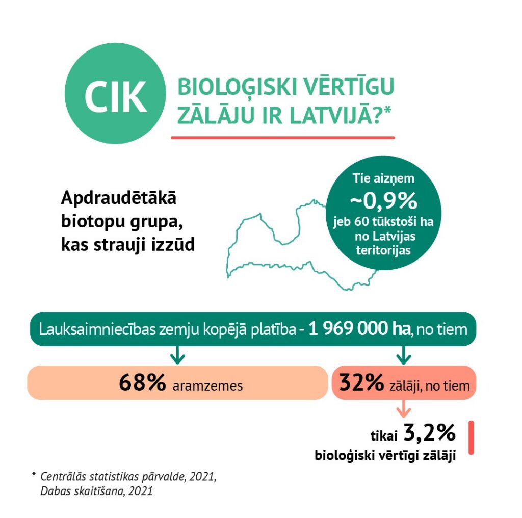 “Novadi zaļo”: Sēj dabiskas pļavas