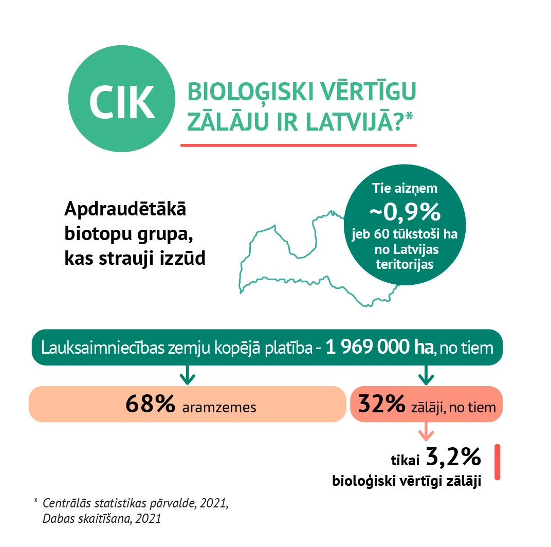 infografika-ds-plavas-avize.jpg