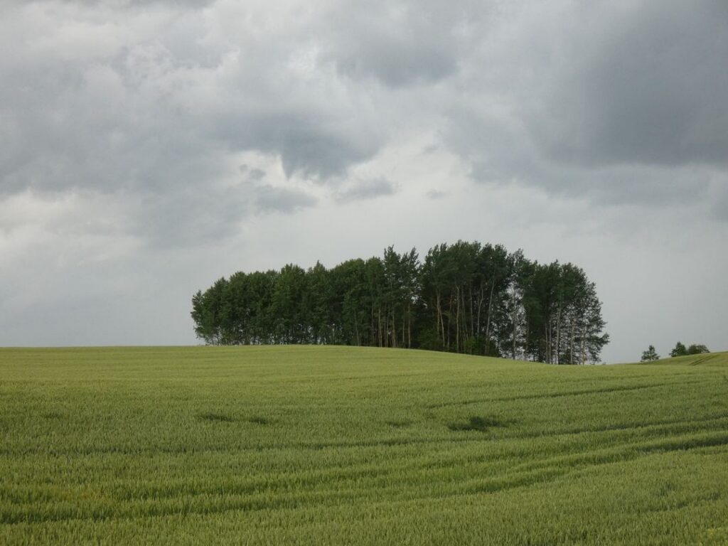 Jaunā gada sākumā jāņem vērā jaunie noteikumi