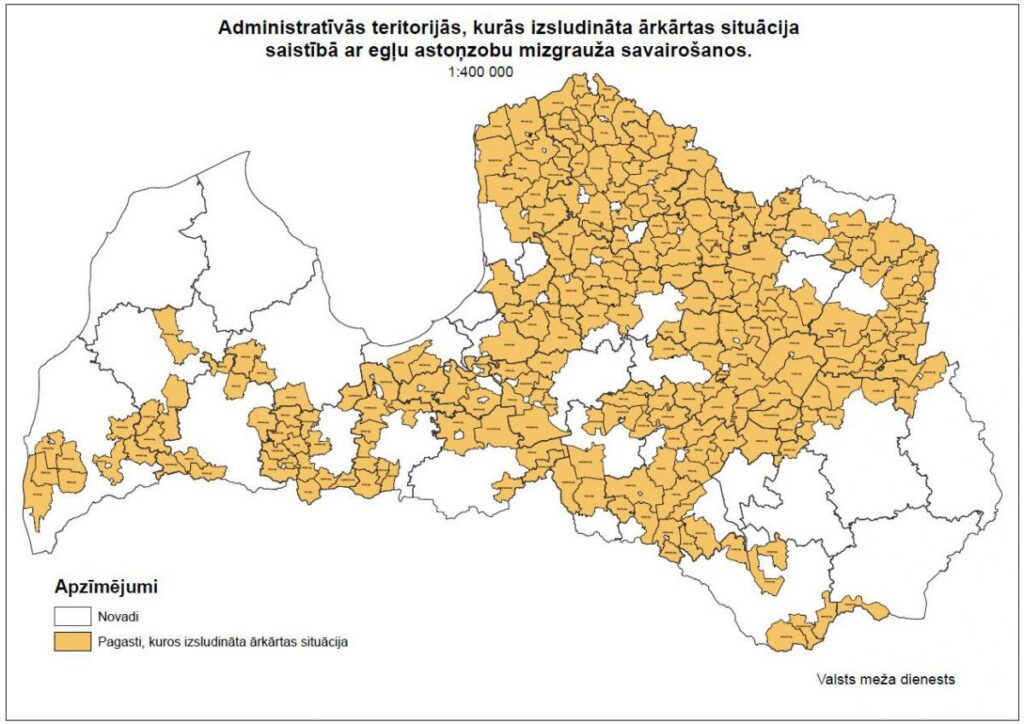 No aprīļa izsludināta ārkārtējā situācija egļu mežaudzēm ļoti bīstamā egļu astoņzobu mizgrauža ierobežošanai