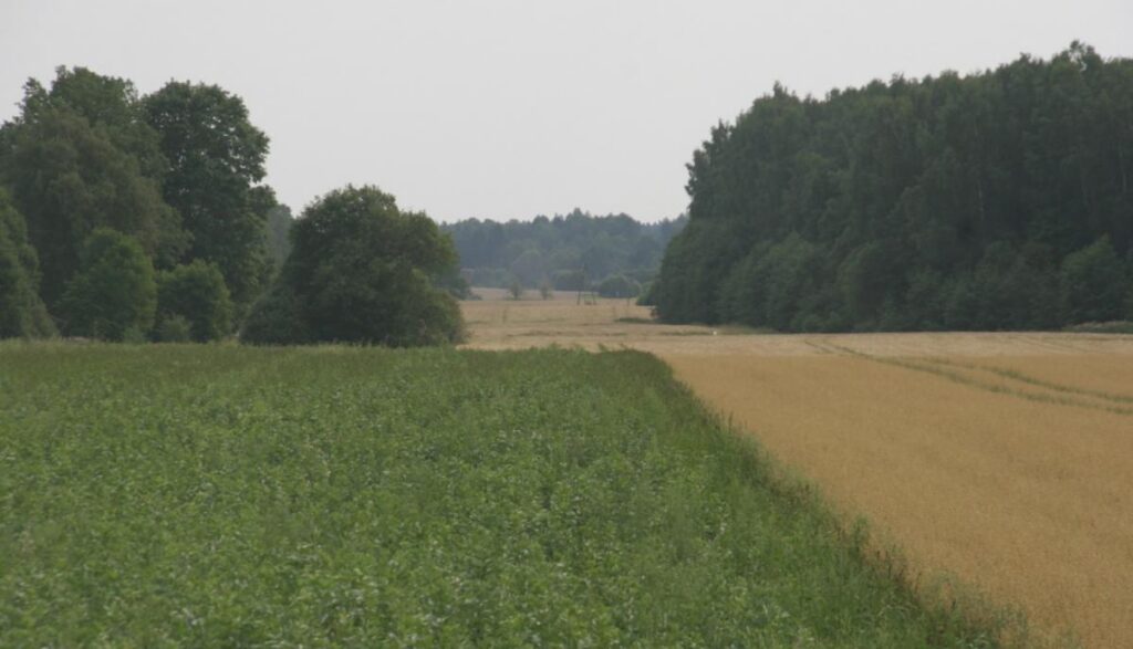 Aprīļa beigās sākas pieteikšanās platību maksājumiem