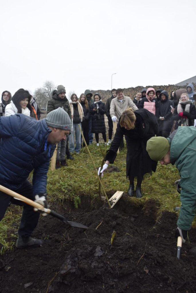 Kuldīgā iestāda valriekstu dārzu