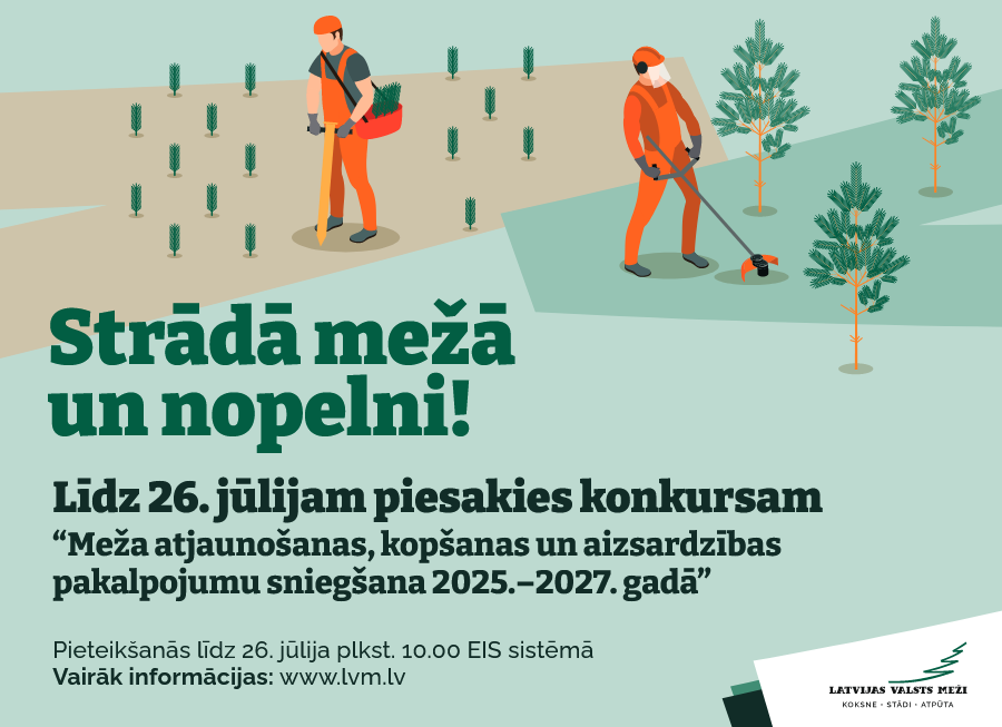Strādā mežā un nopelni!