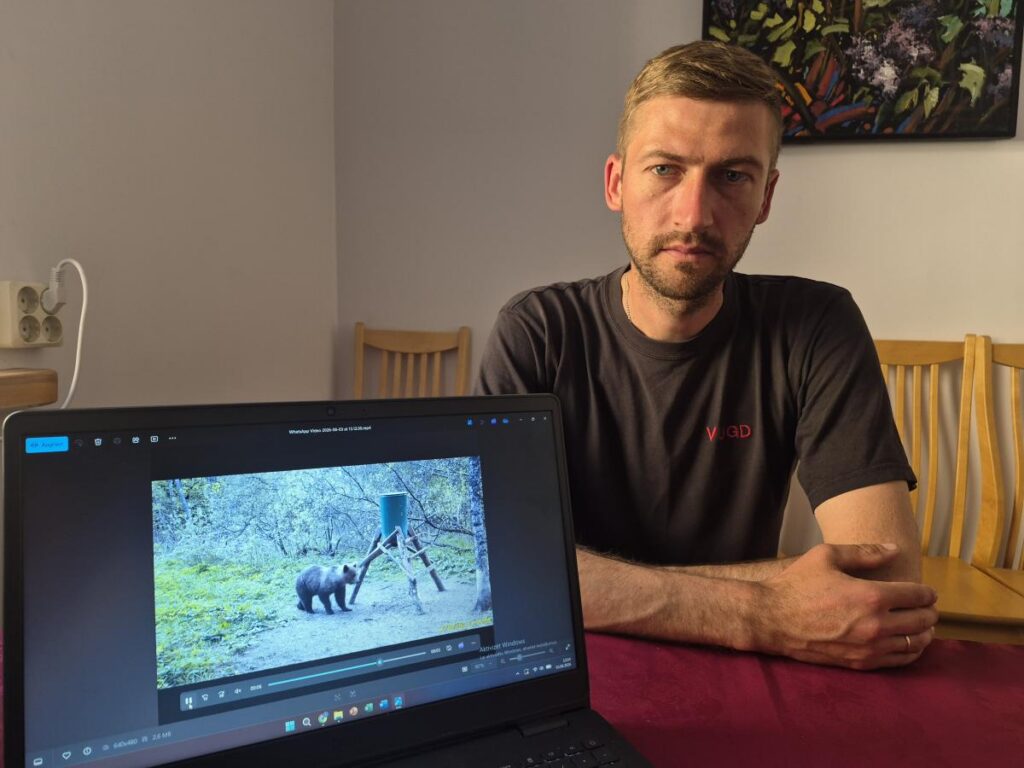 Lielais plēsējs nav retums mežā, bet lācim nav jābūt pilsētā