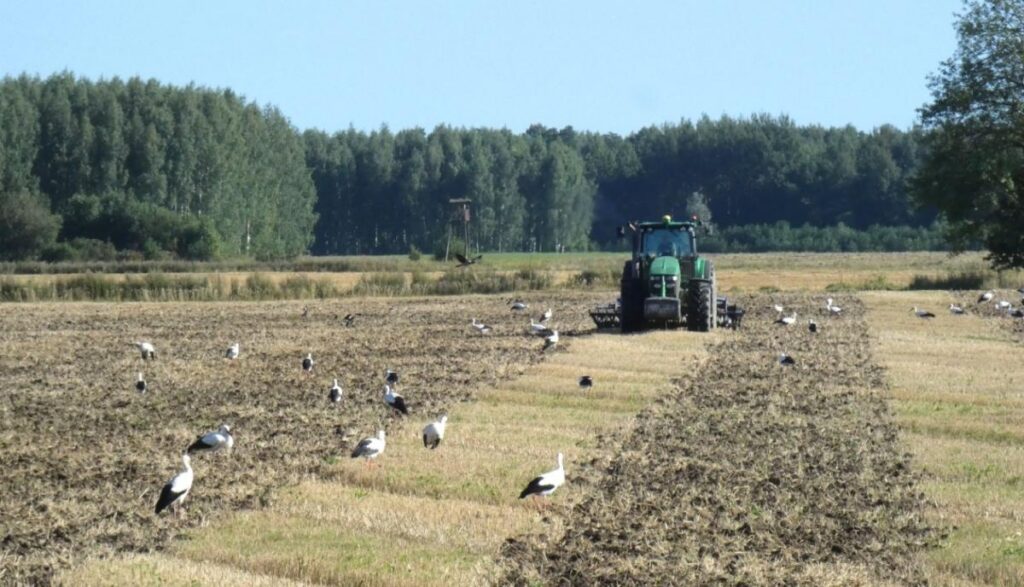 Lauksaimnieki 14 gados saņēmuši 188 miljonus eiro zemes iegādei