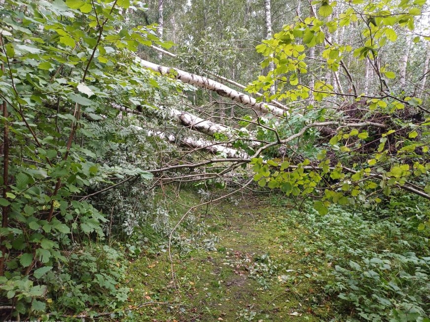 Slēgtas dabas takas Rāznas Nacionālajā parkā un Sarkaņkalnā